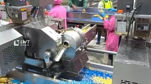 خط تعليب الذرة في علب